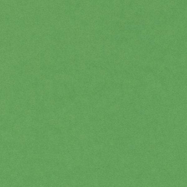 Vivaldi A4 Bright Green 240g + Label