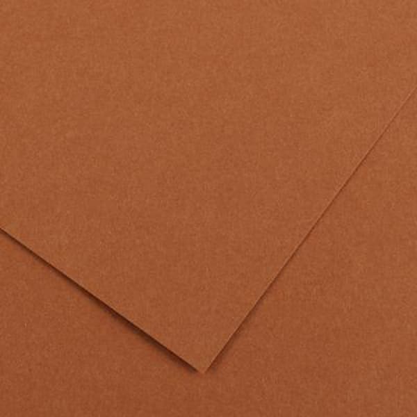 Colorline Poster Card - 50 x 70cm 240gsm Nut Brown