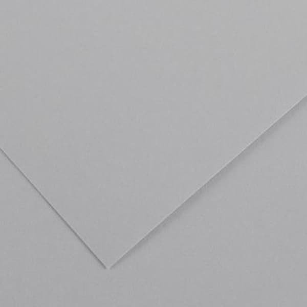 Colorline Poster Card - 50 x 70cm 240gsm Light Grey