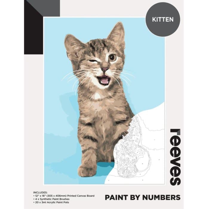 Reeves Paint by Numbers 12X16 inch - Kitten