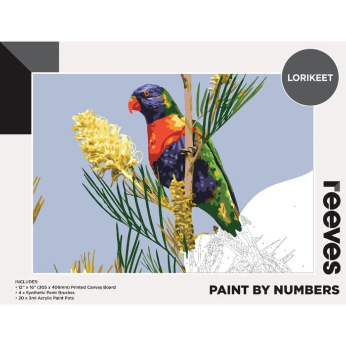 Reeves Paint by Numbers 12X16 inch -  Lorikeet