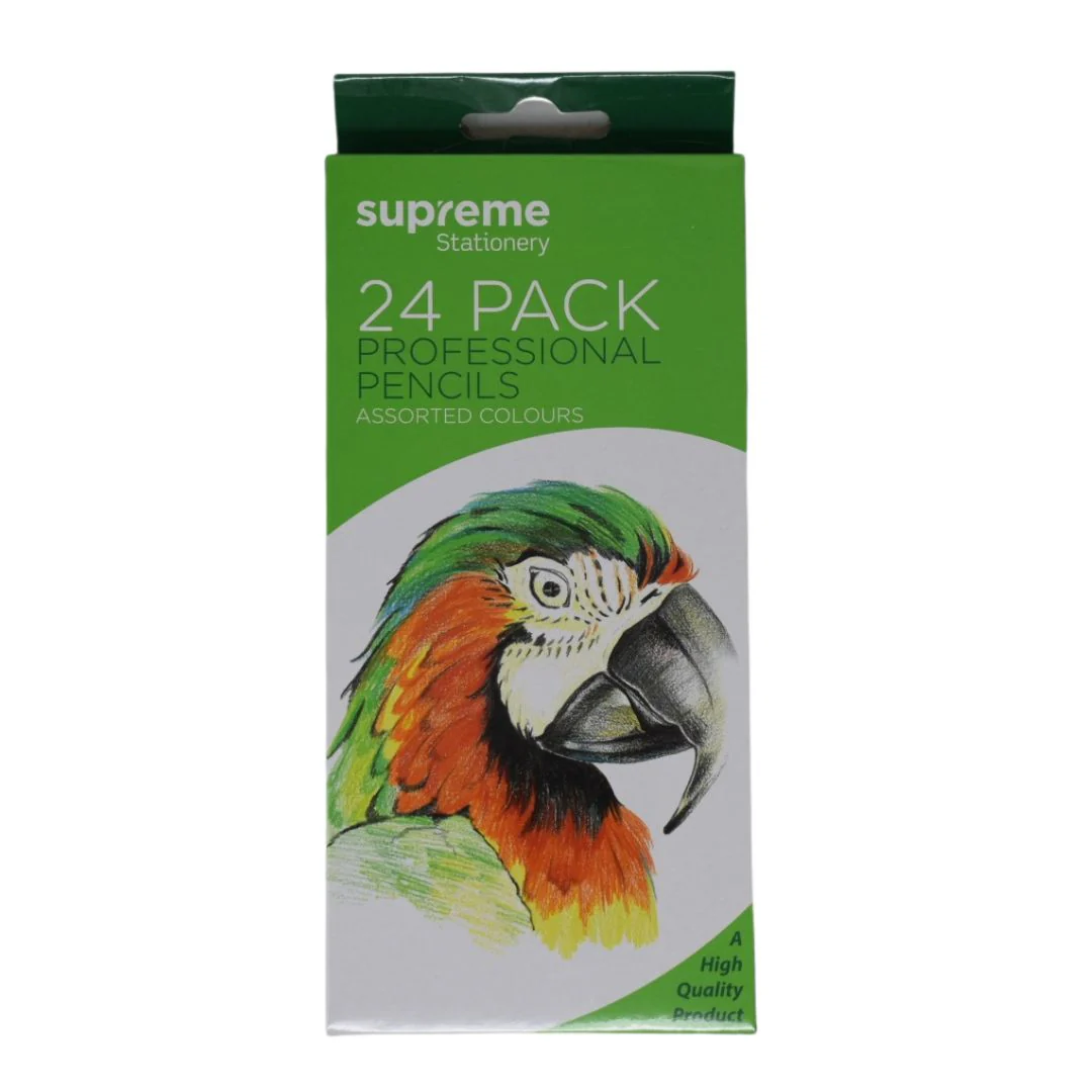 Professional Pencils (Set of 24)