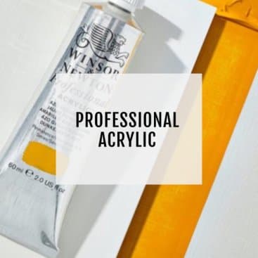 Professional Acrylic Paints