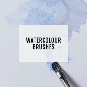 Watercolour Cotman Brushes
