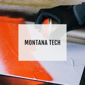 Montana Spray Varnish