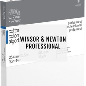 Professional Canvas
