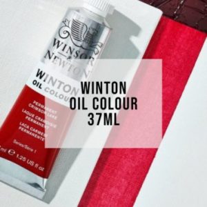 Winton Oil Colour - 37ml